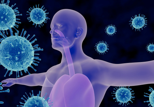 The Immune System: What You Need to Know